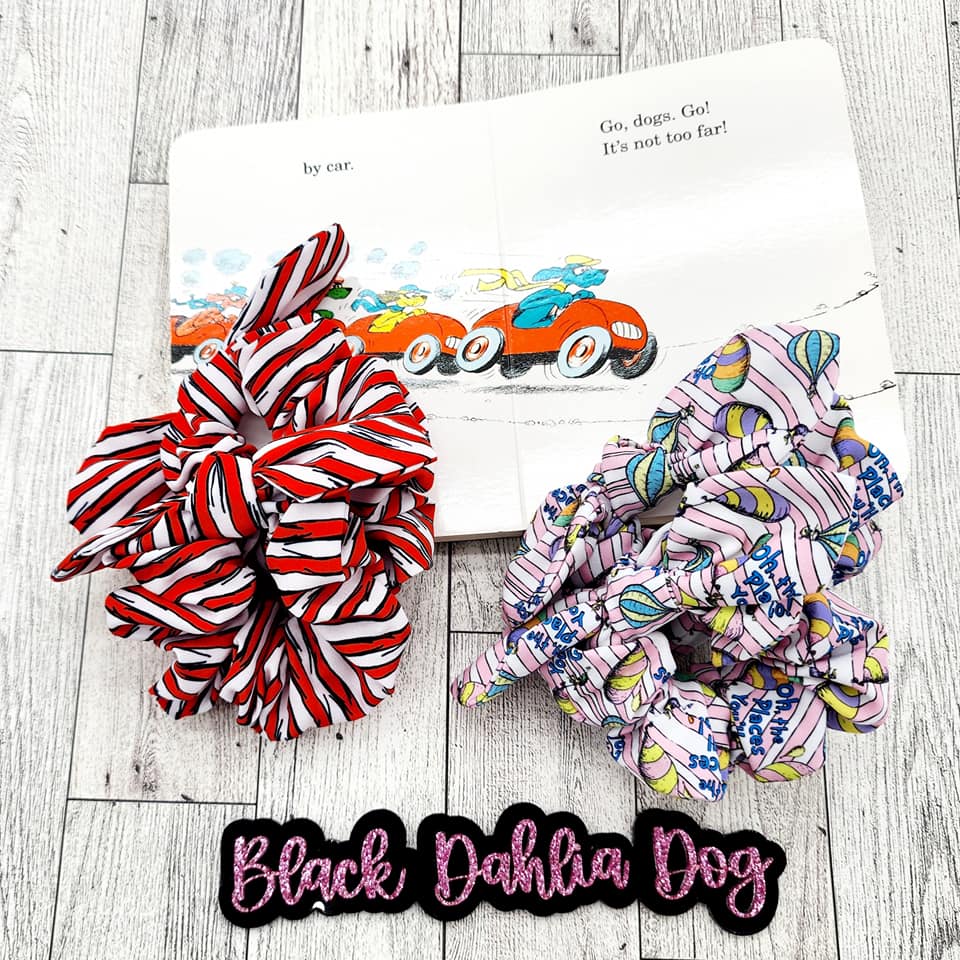 Read Across America Day Fabric Scrunchies