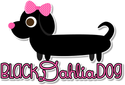 Black Dahlia Dog