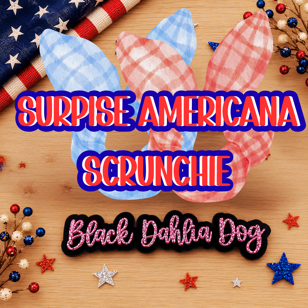 Surprise Americana Fabric Scrunchie