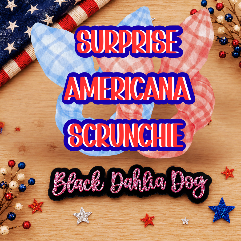 Surprise Americana Fabric Scrunchie